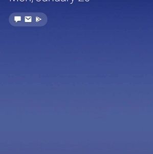 Meet your Posher, Elvia